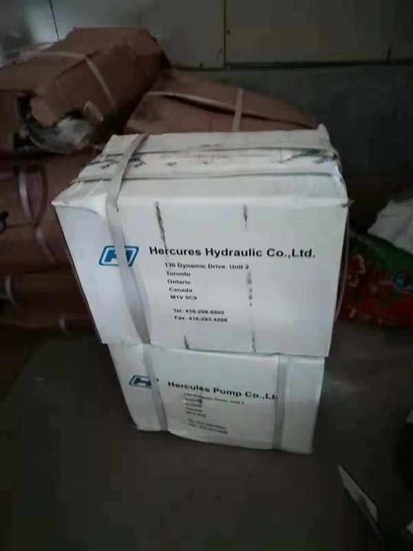 蜜桃视频免费下载壓路機振動泵